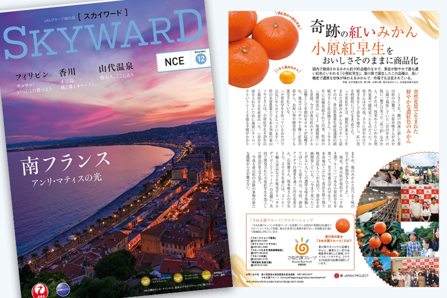 JALブランドコミュニケーション 「SKYWARD」誌面制作